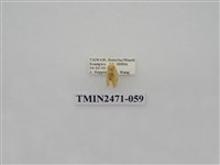 藏品(鉤弧紋豔苔蛾)的圖片